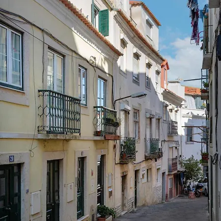 Petite Charm In Old Apartment Lisbon